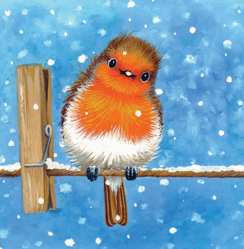 Washing Line Robin  - Pack of 10 Cards