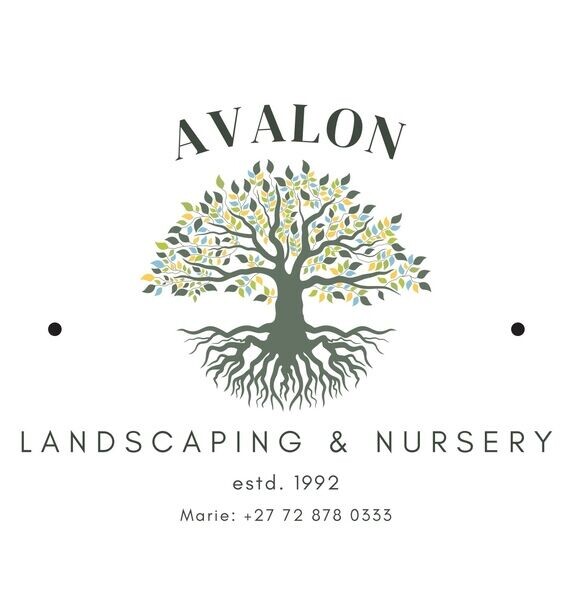 Avalon Nursery and Landscaping