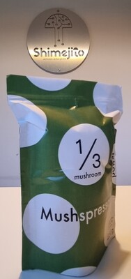 Made in Brazil - Special Launch Edition - Mushroom Coffee - Power green