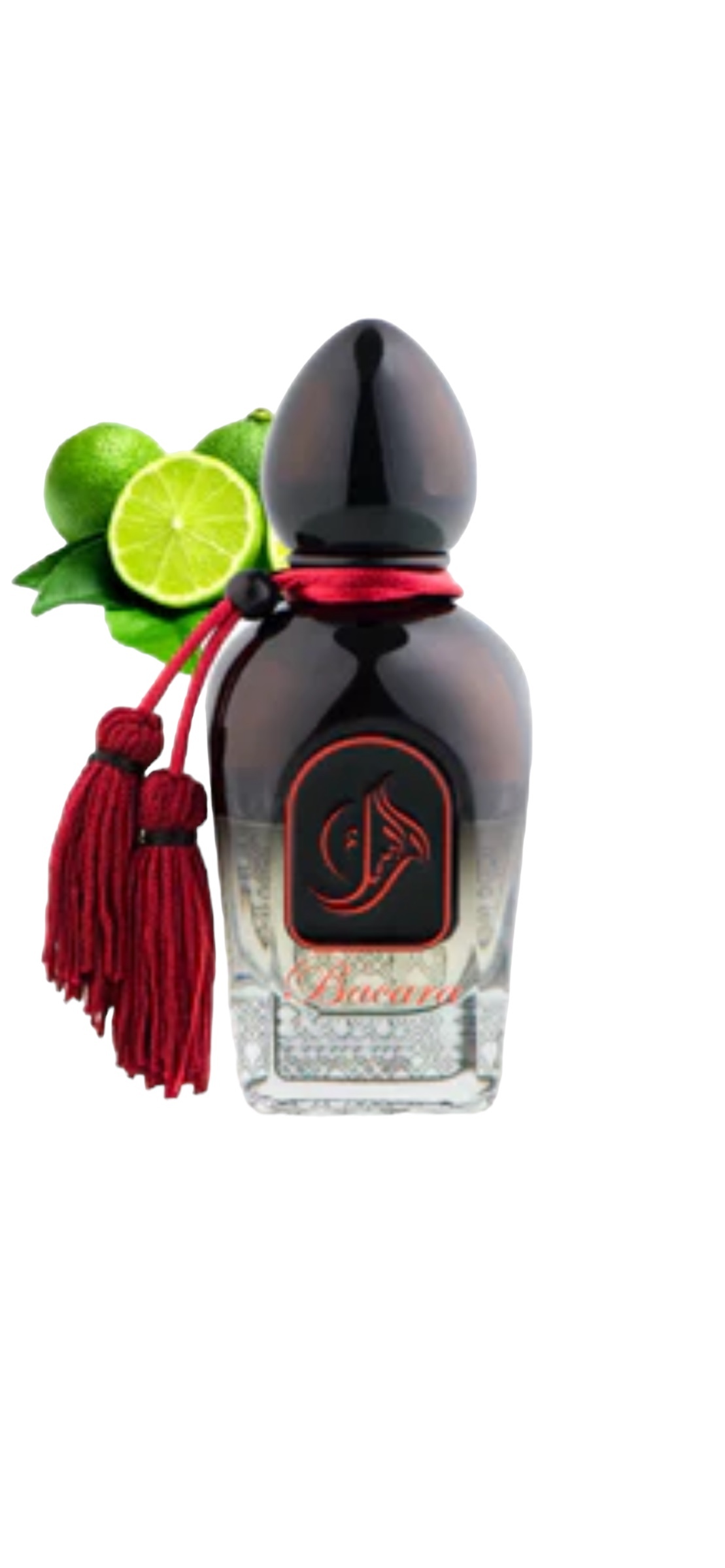 Bacara by Arabesque 50 ml