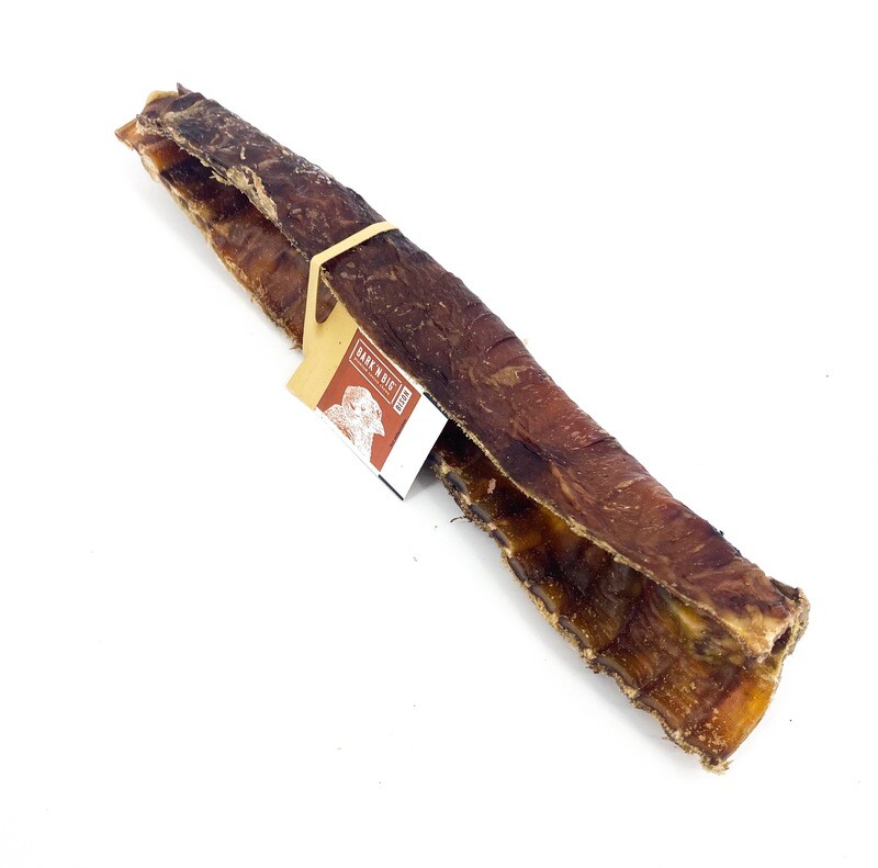 Bison Trachea Canoe Large Bison Trachea Canoe Large