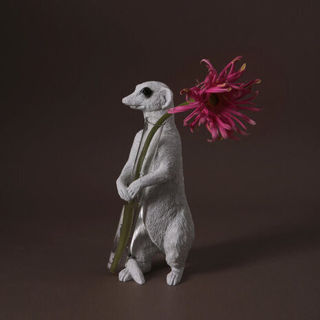 Vaso Meerkat X - Sit-02