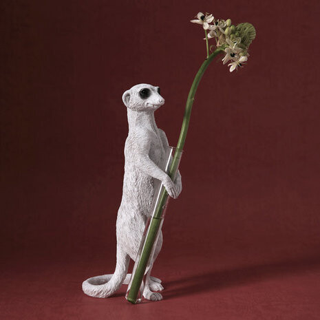 Vaso Meerkat X - Stand-01