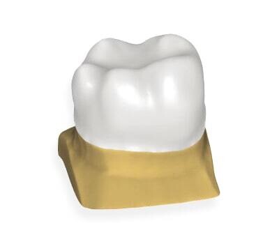 Anatomic Simple Copings