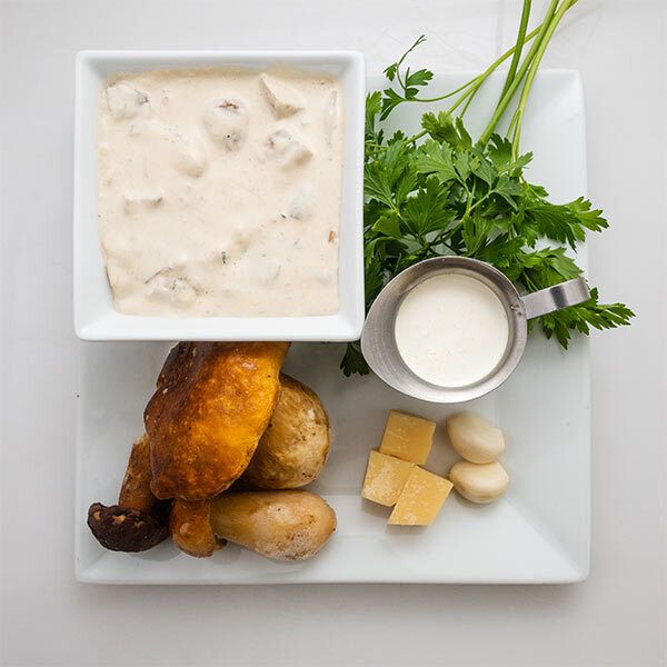 Porcini Mushroom Sauce