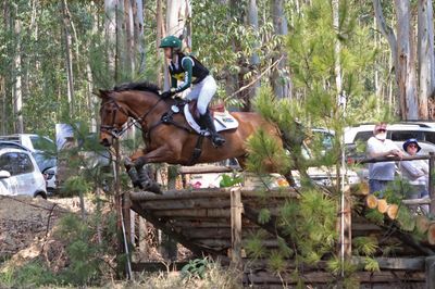 African Shield &amp; Nations Cup Eventing
