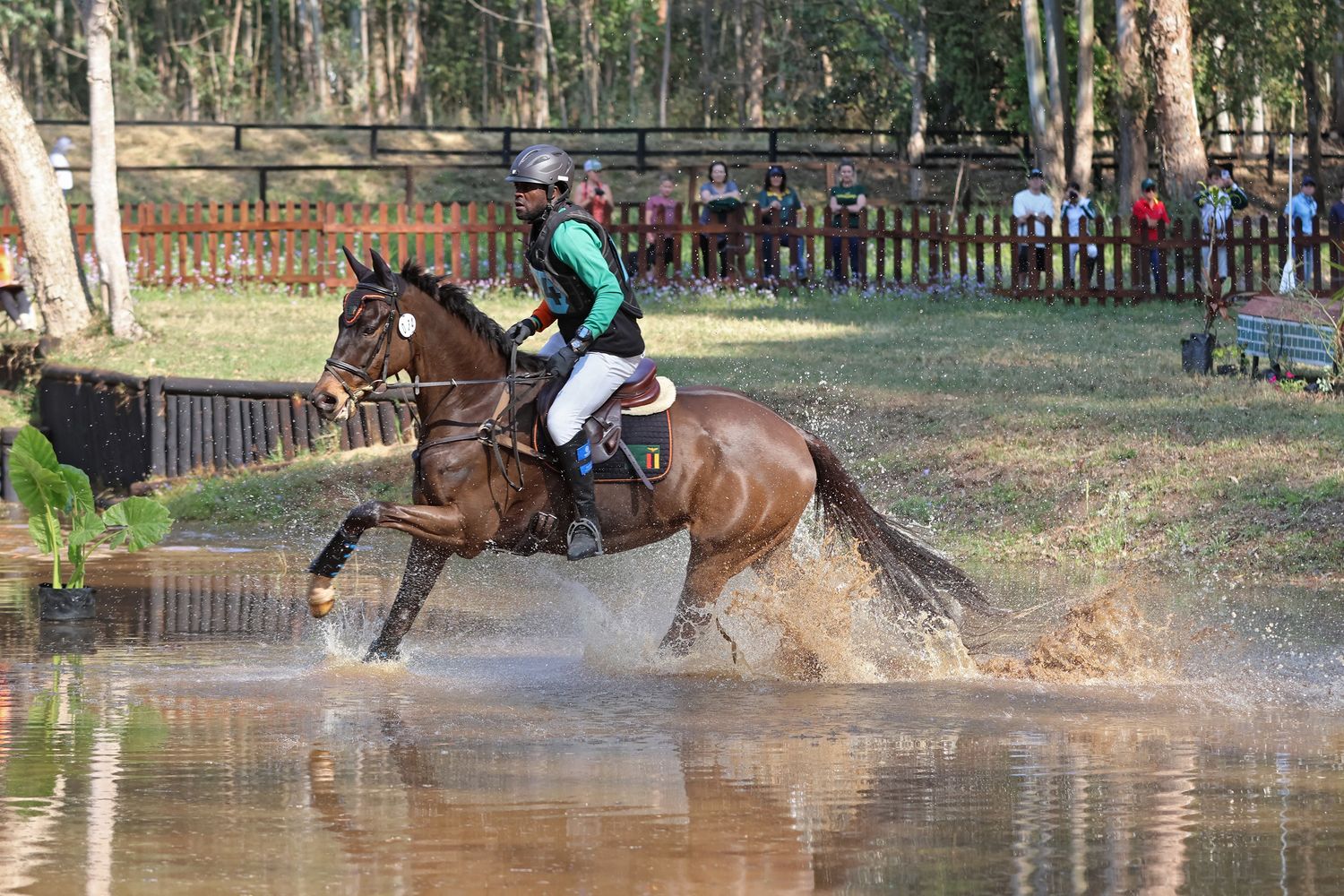 1 Day Eventing - Bunny Hop 55cm