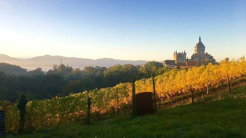 Domaine Les Tilleuls