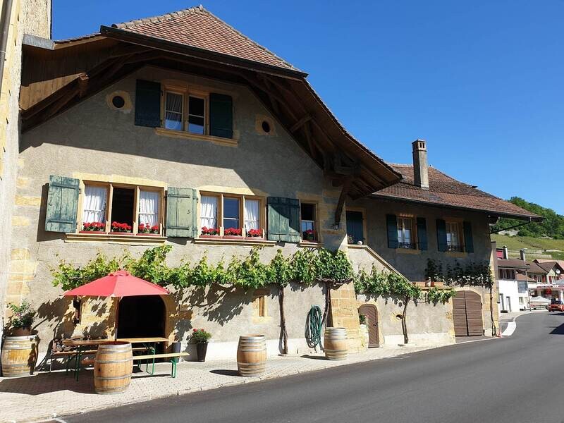 Schmutz Vins SA