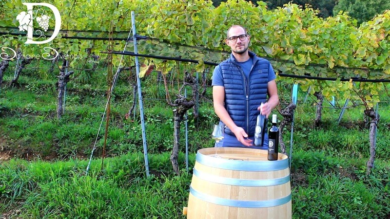 Domaine Divernois