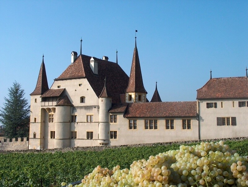 Cave des Lauriers - Jungo&amp;Fellmann