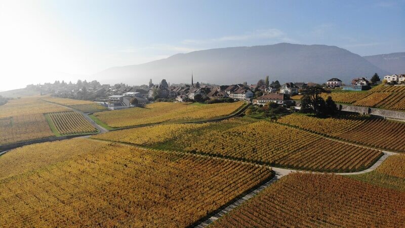 Les Vins Porret