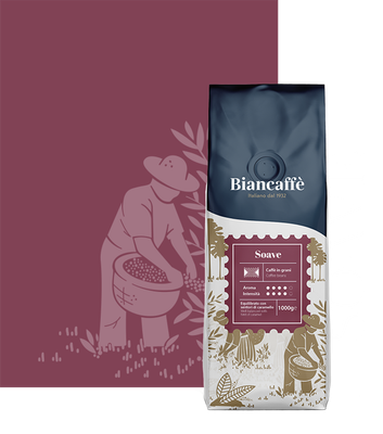 Biancaffè Soave - café en grains