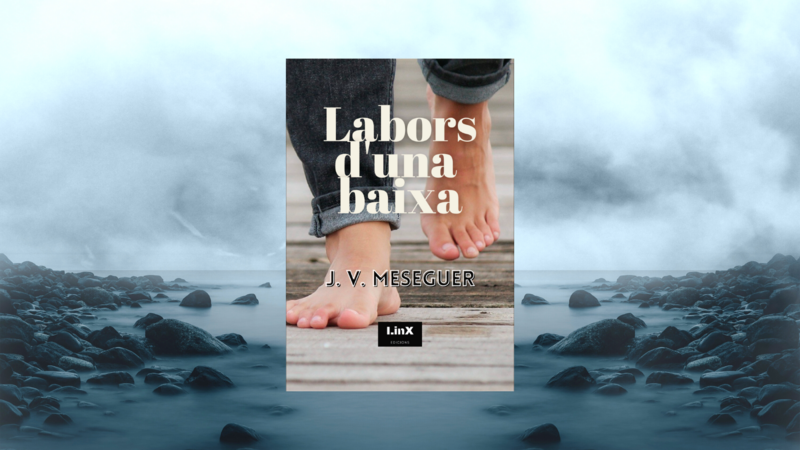 LABORS D'UNA BAIXA