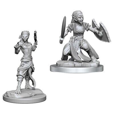 D&amp;D Figure: Shifter Fighter