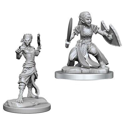 D&D Figure: Shifter Fighter