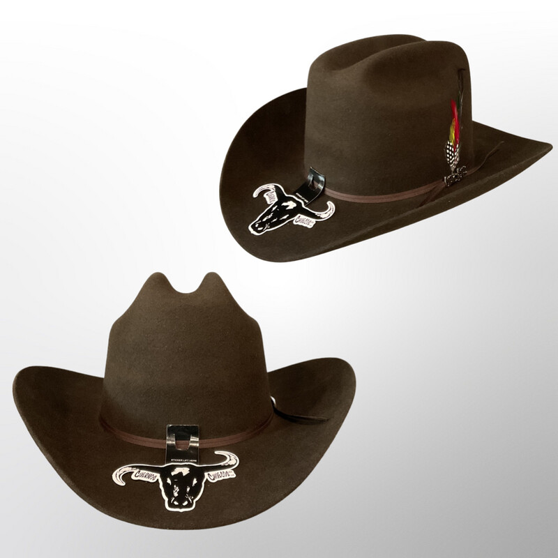 CUERNOS CHUECOS TEXANA 6X DURANGO JOAN