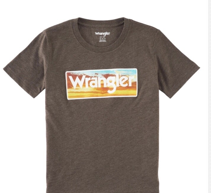 112319269 - Wrangler® Boys T-Shirt - Brown Heather, Colour: BROWN HEATHER, Size: S