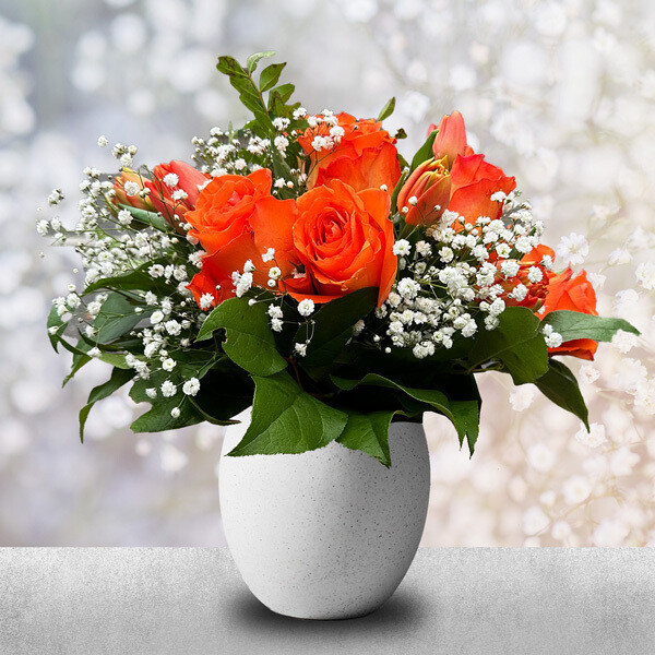 Strauß "Oranje"