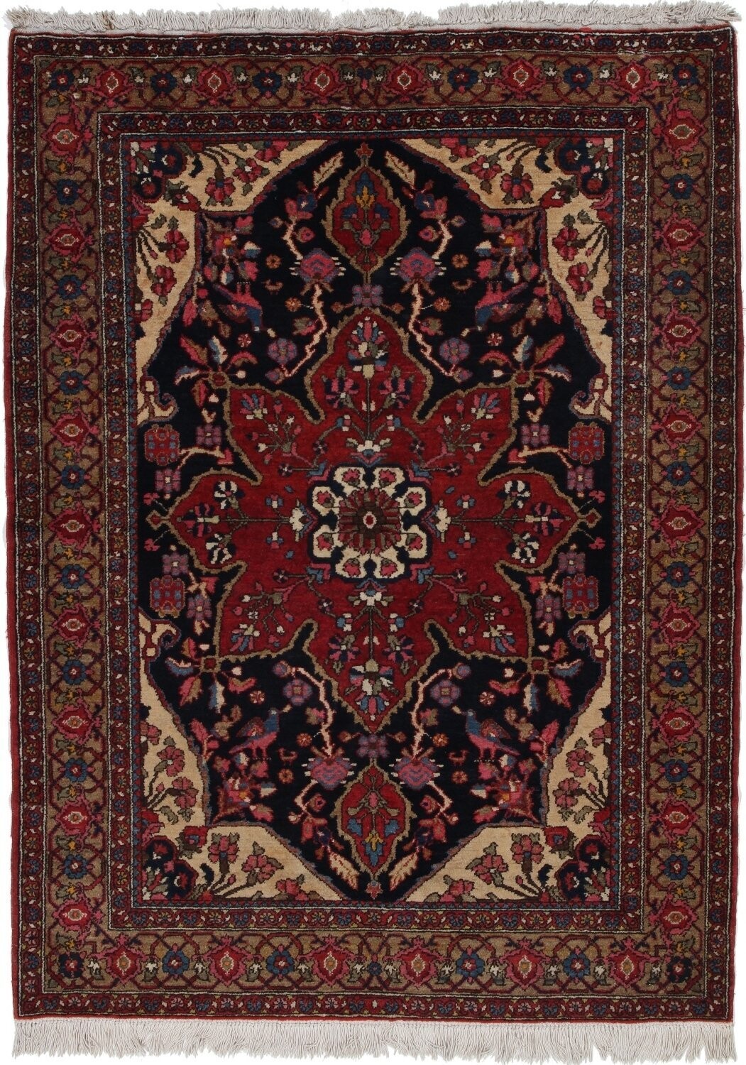 Bakhtiar
200x148