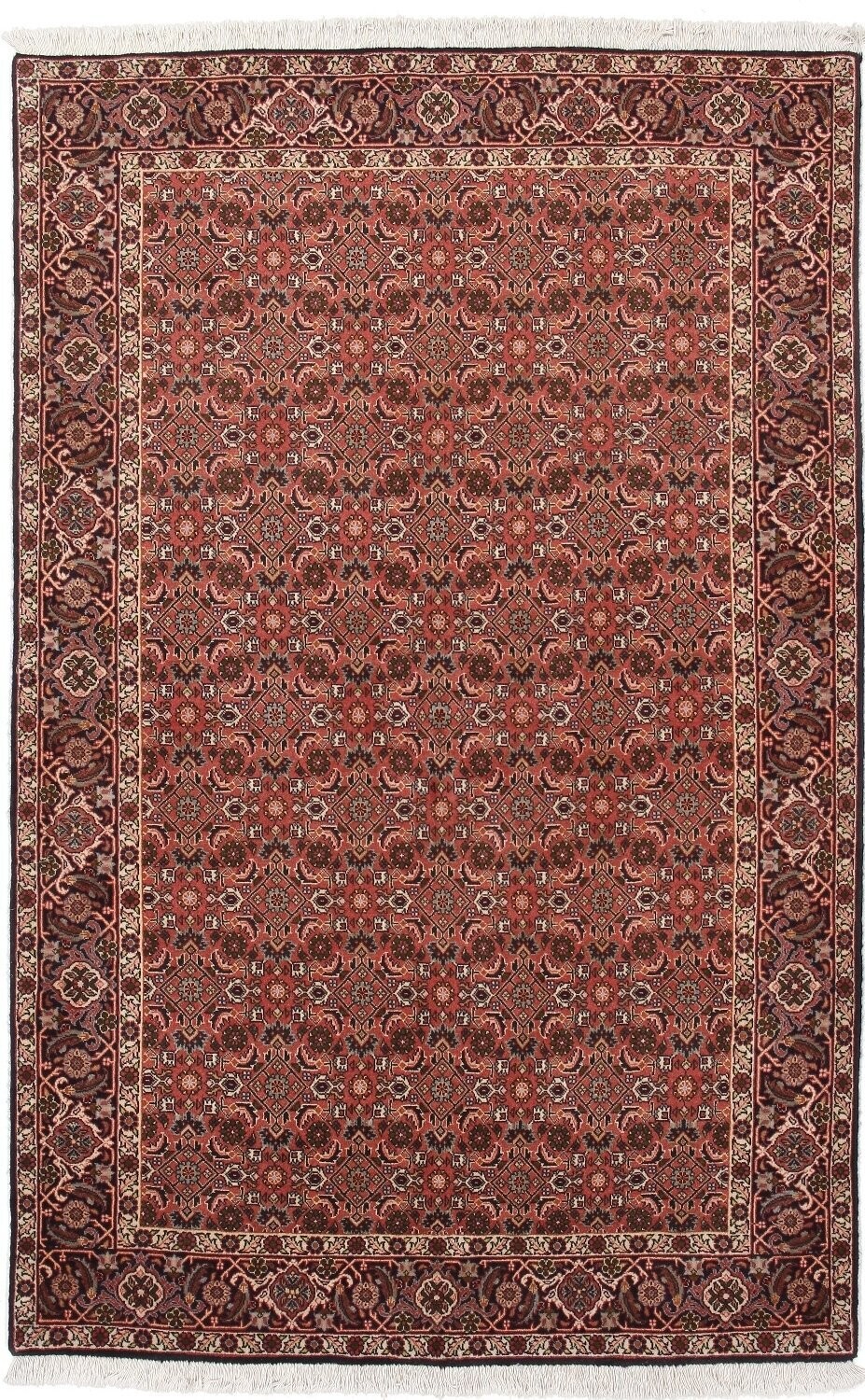 Bidjar
217x139