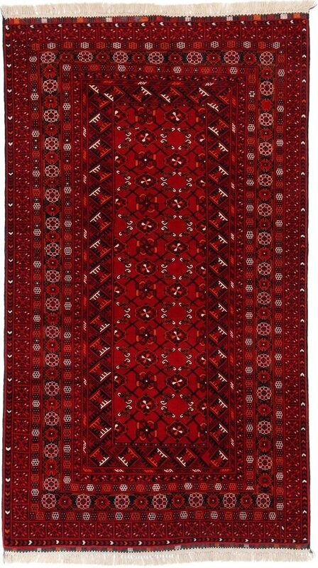 Afghan
250x144 Afghan
250x144