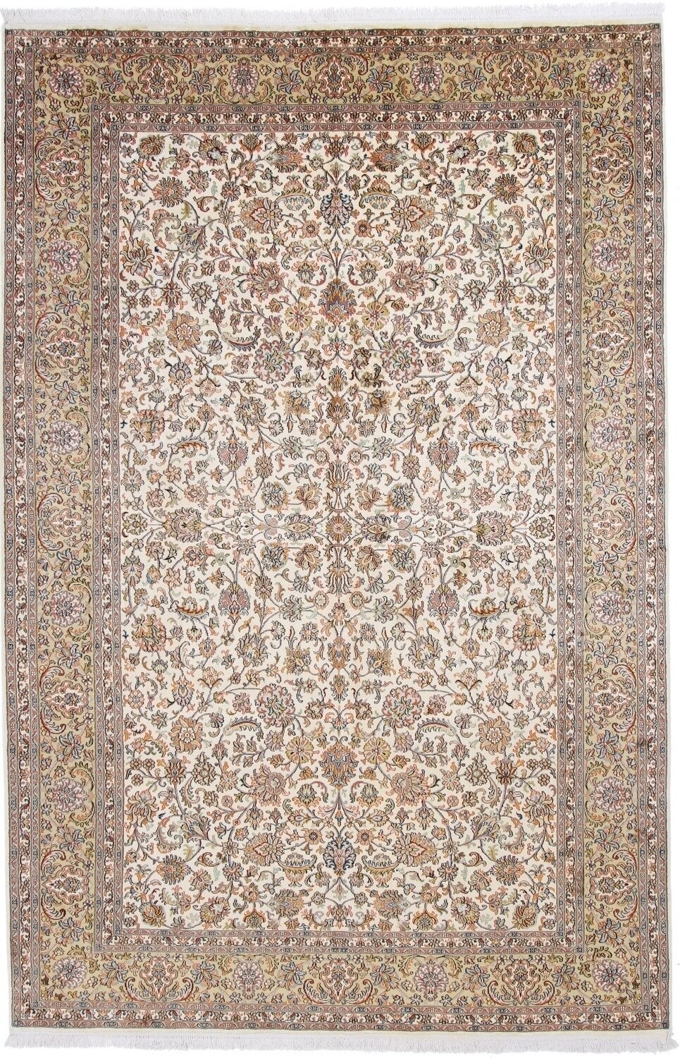 Kaschmir
286x180