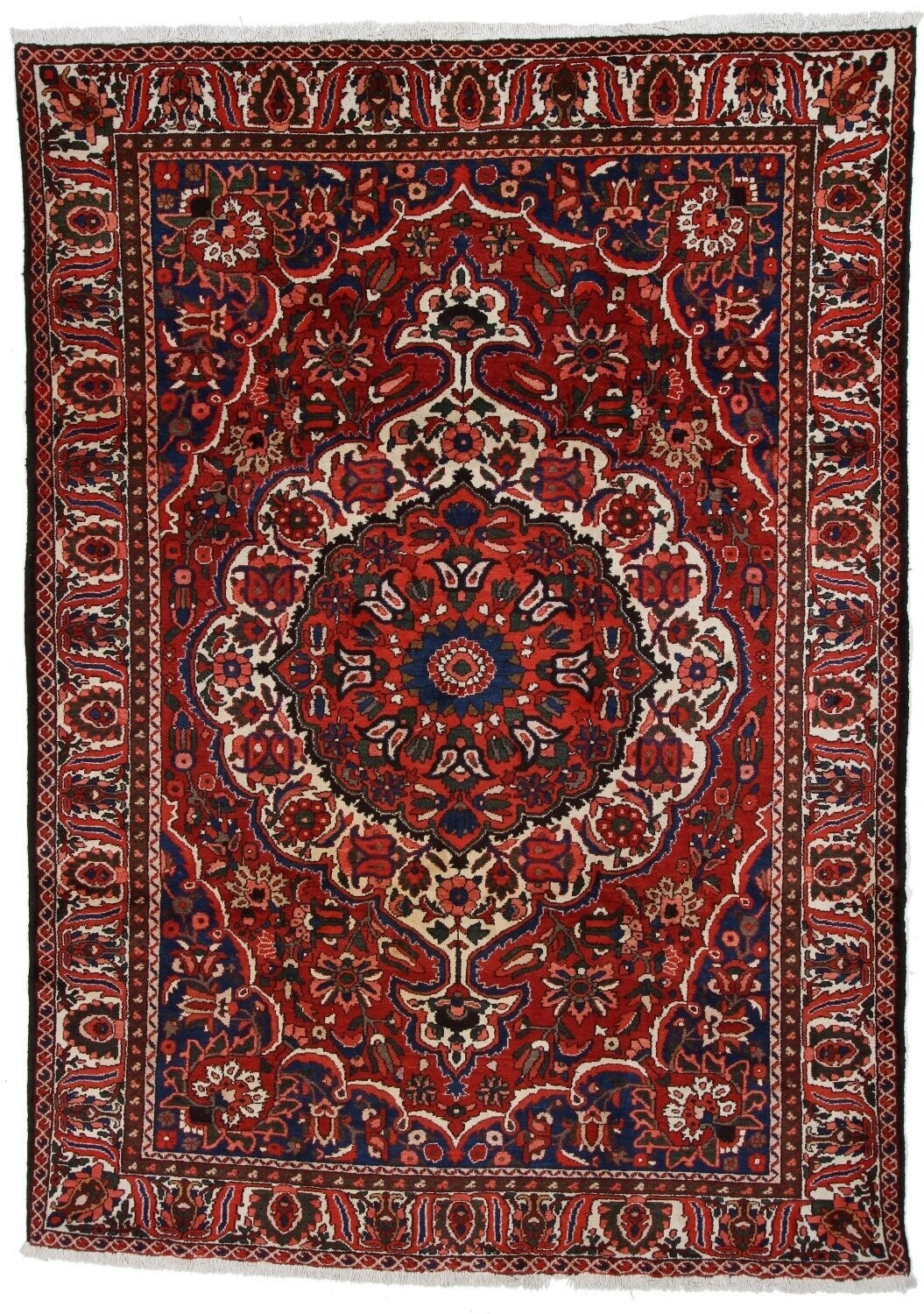 Bakhtiar
342x245