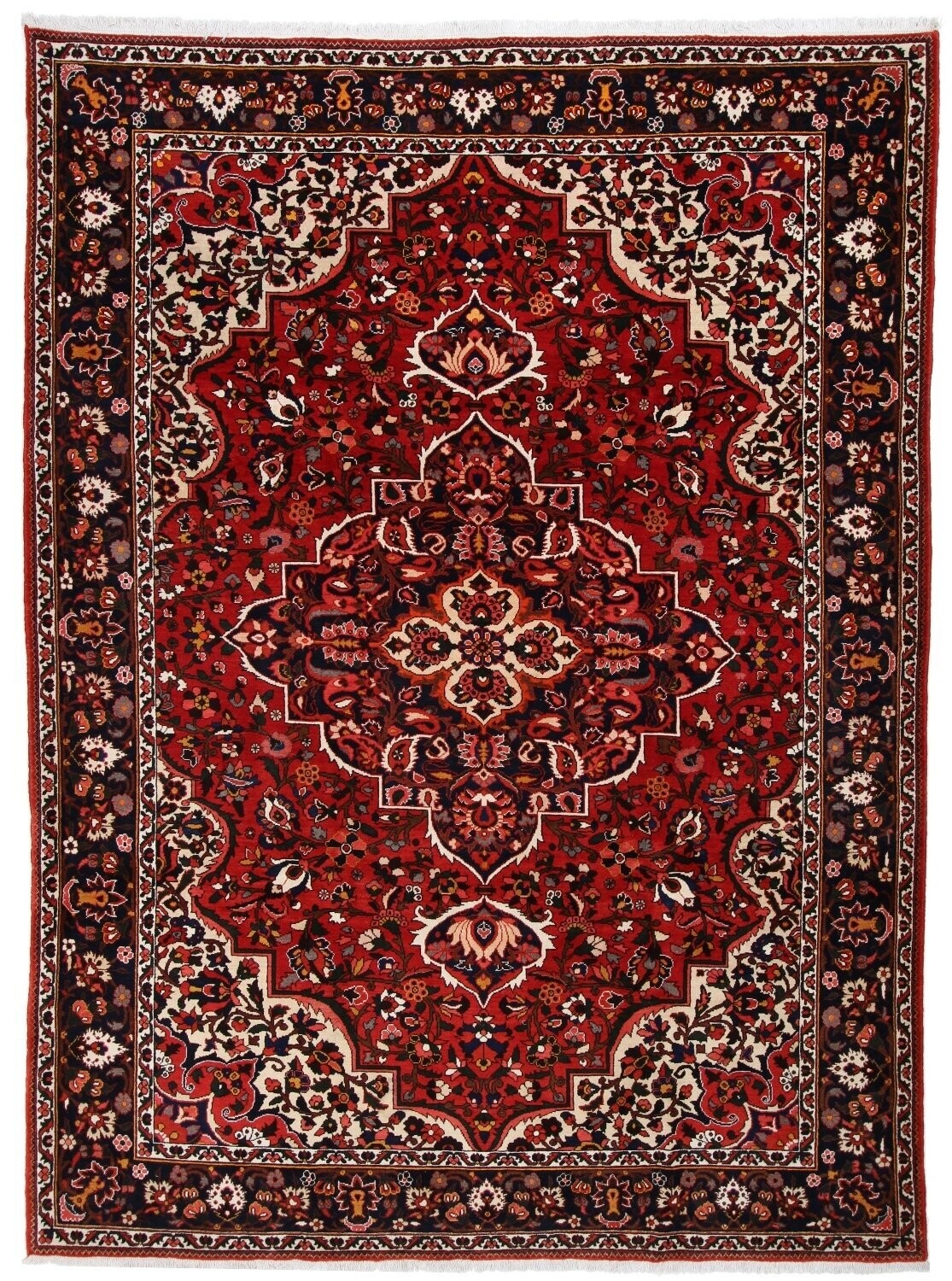 Bakhtiar
360x266