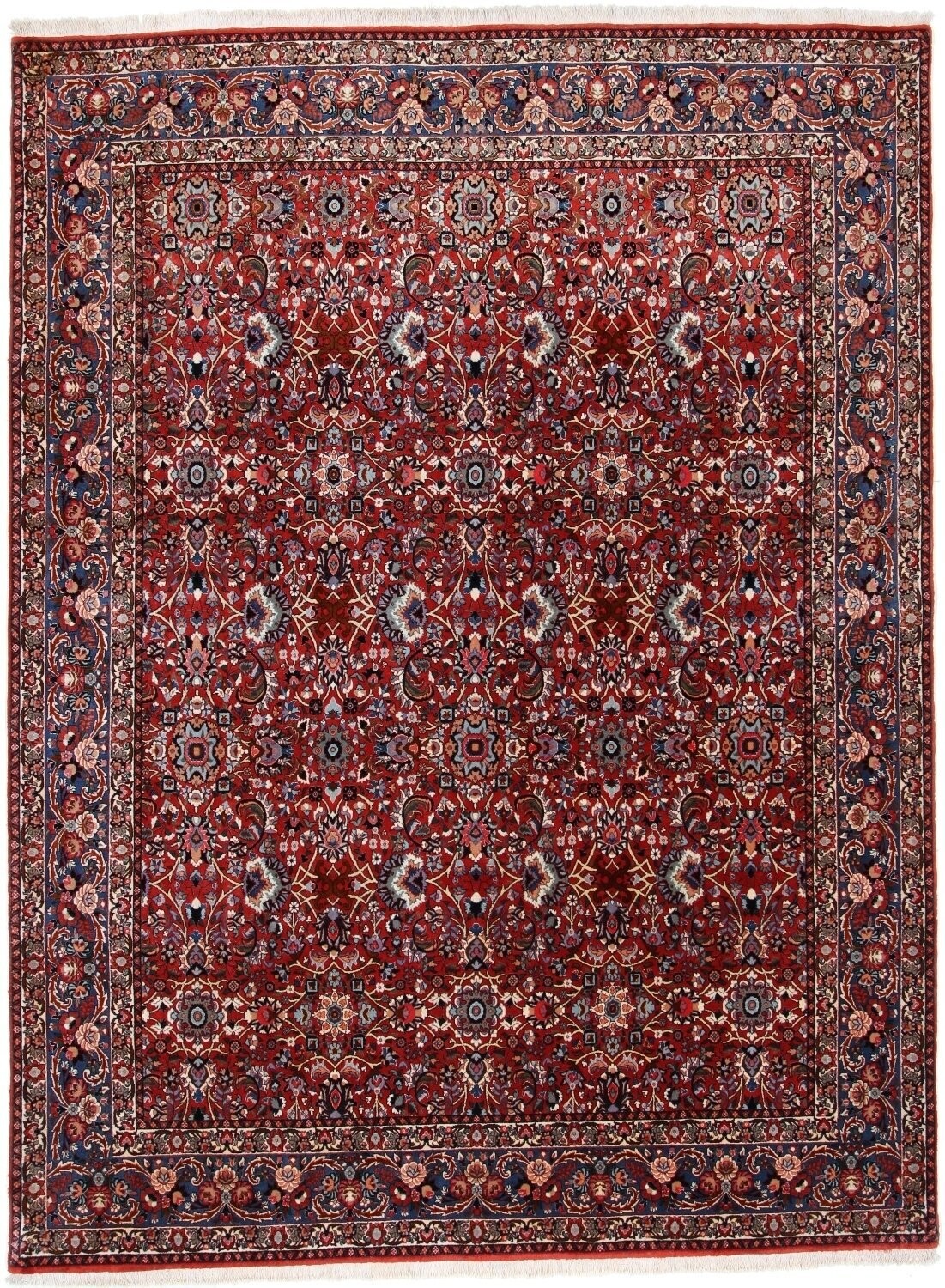 Bidjar (fein)
347x254