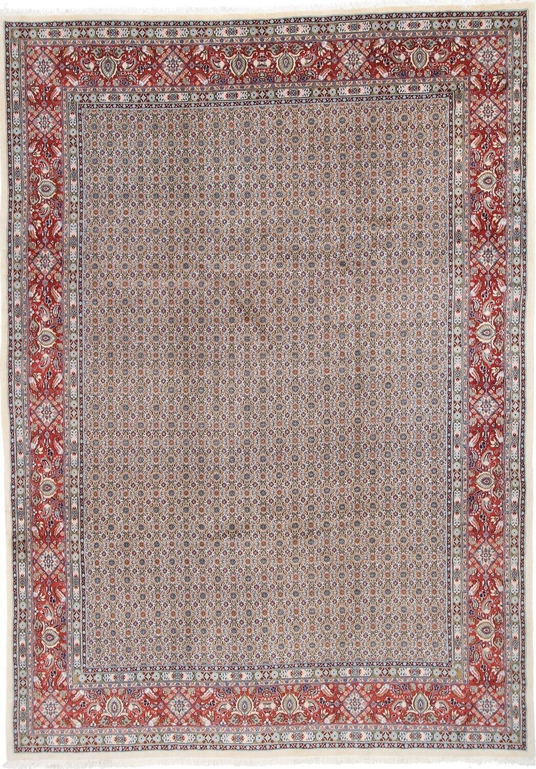 Moud
348x249