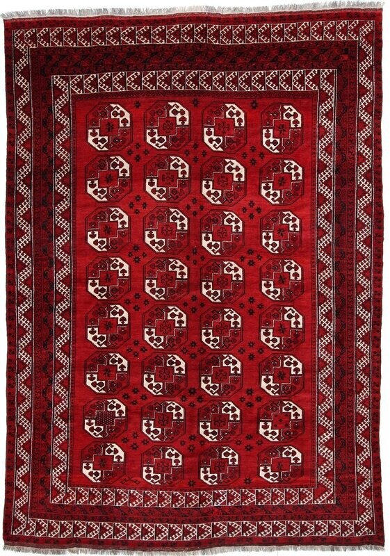 Afghan
431x306 Afghan
431x306