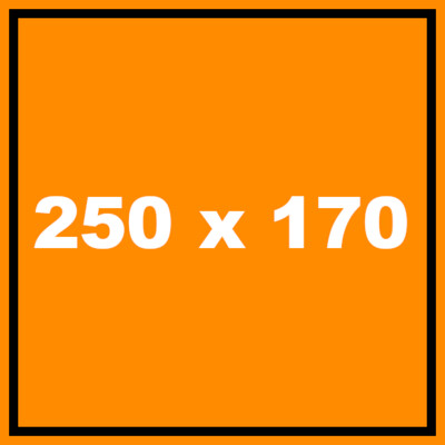250 x 170 cm