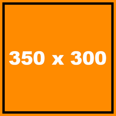 350 x 300 cm