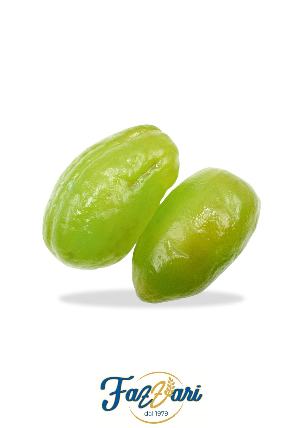 CEDRO A COPPE