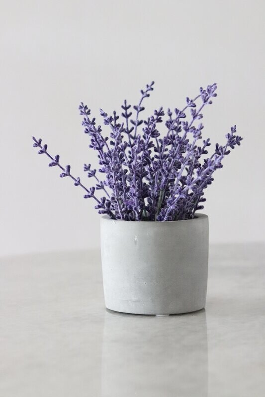Potted Colour