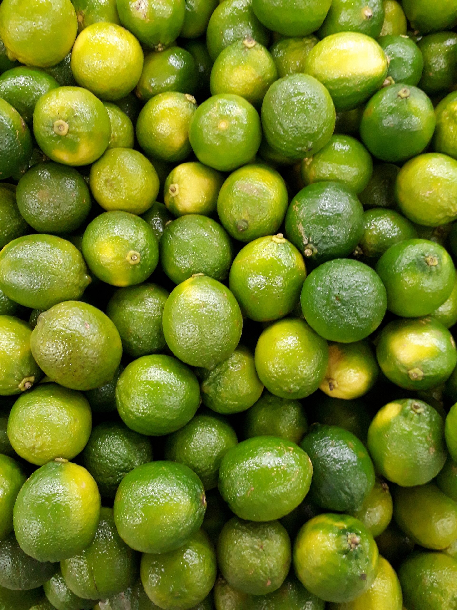 Limes