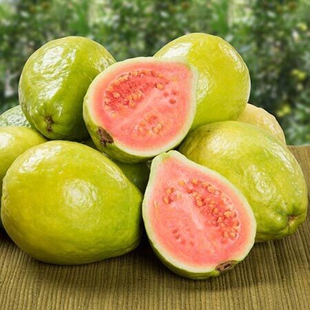 Soft Fruits