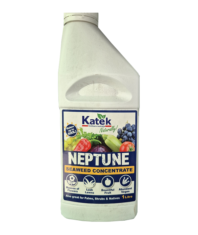 Neptune - 5 Ltr