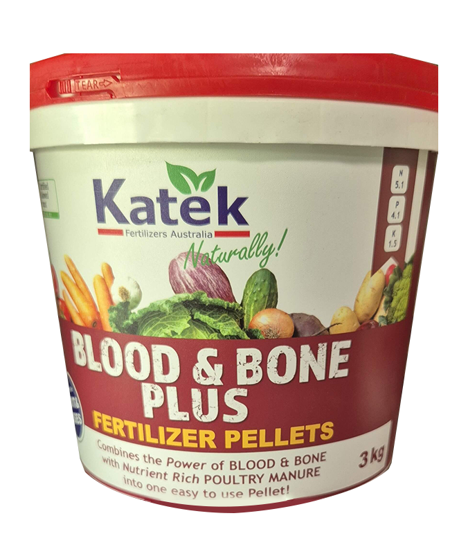 Blood and Bone