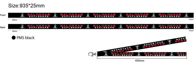 Lanyard