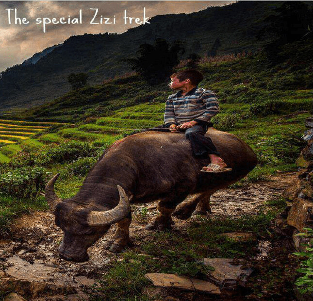 Adventurous. 2D1N The buffalo trek