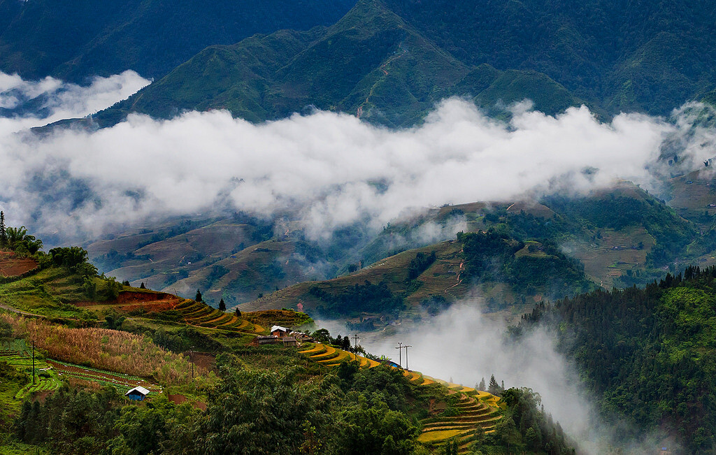 Natural.1D The Mountain view Trek