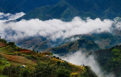 Natural.1D The Mountain view Trek