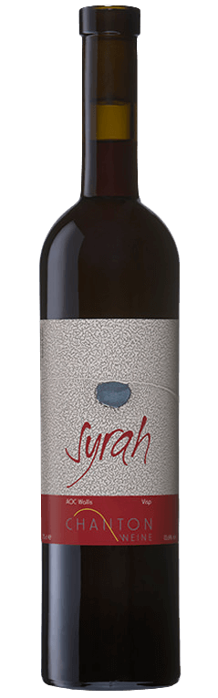 Syrah AOC VS 75cl