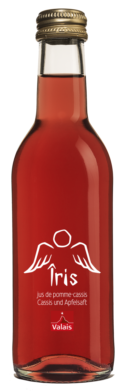 Apfel-Cassis Saft 25cl