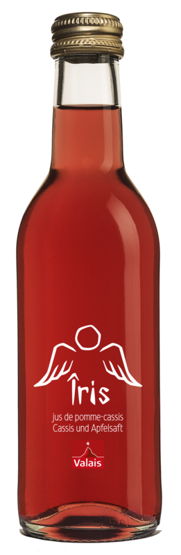 Apfel-Cassis Saft 25cl