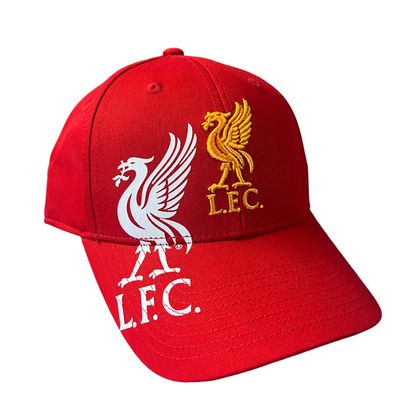 Caps &amp; Hats
