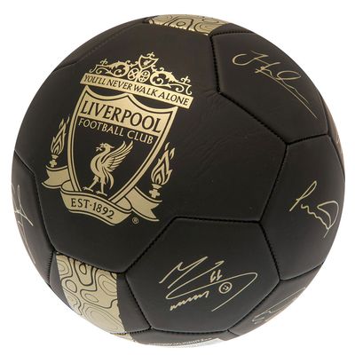 Footballs and Accessories