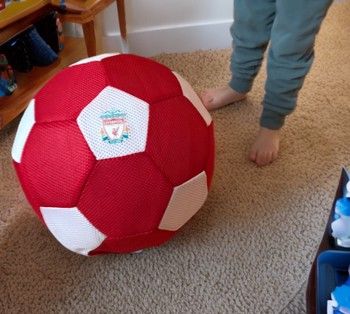 Liverpool FC 14" Mesh Football